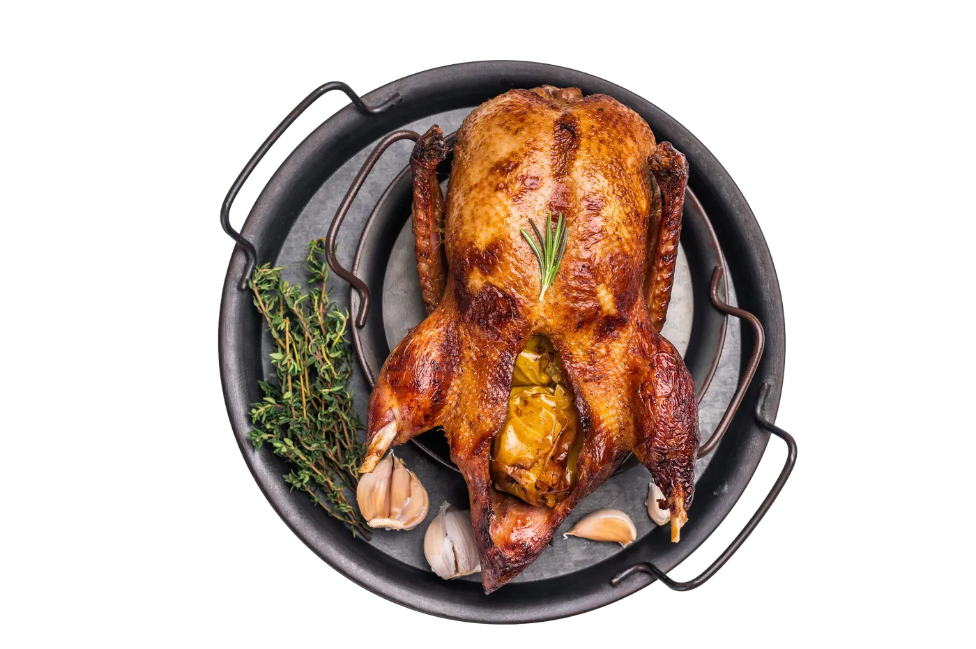 Gans für vier
