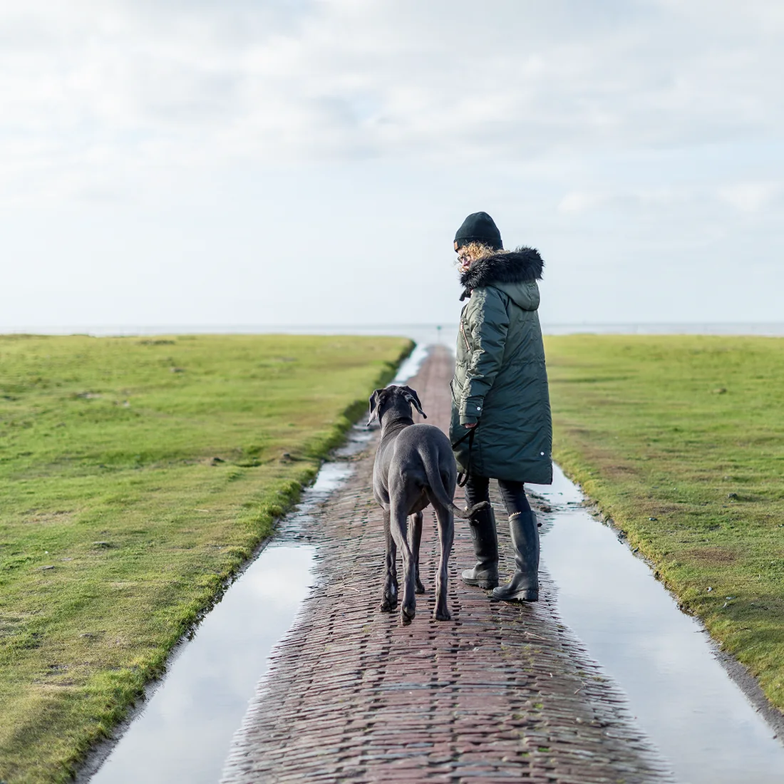 Spaziergang mit Hund auf dem Deich an der Eider